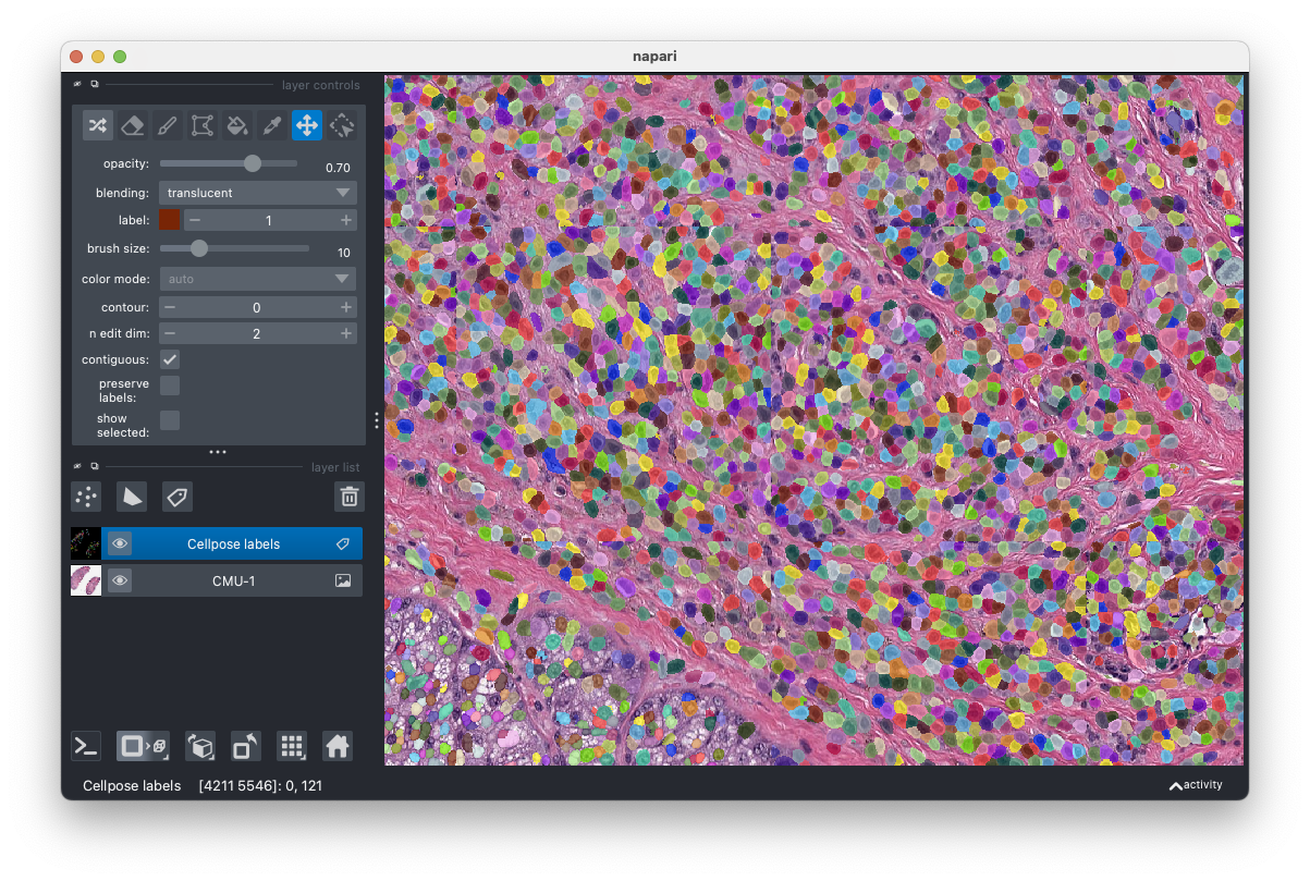 Optional: view data using napari — Scaling-up deep learning inference ...
